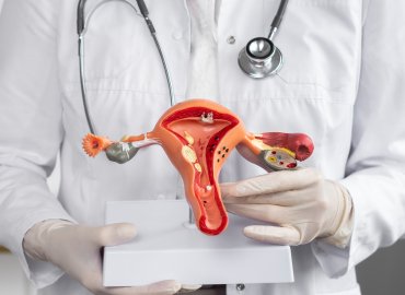 Gynaecology/Infertility